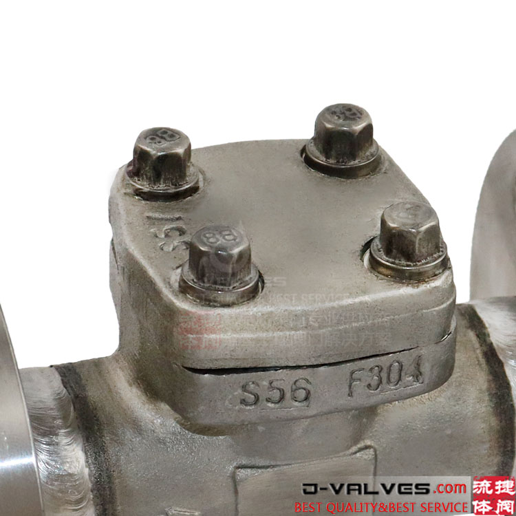 Swing Type 800# F304 Foregd Stainless Steel Flange Check Valve
