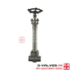 Cryopenic Forged Steel F304 Butt Welded Ends Globe Valve