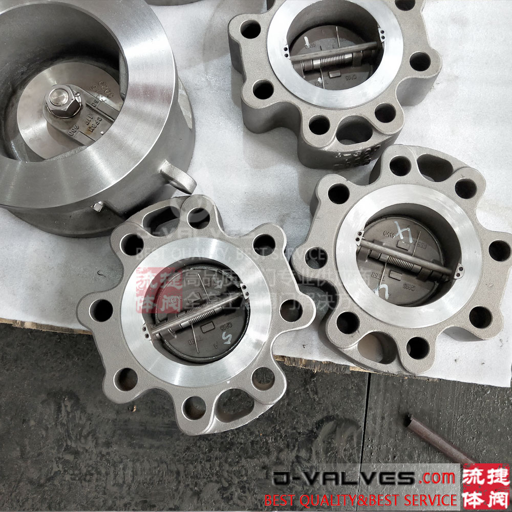 The Dd-SL Stainless Steel Double Disc Lug Check Valve
