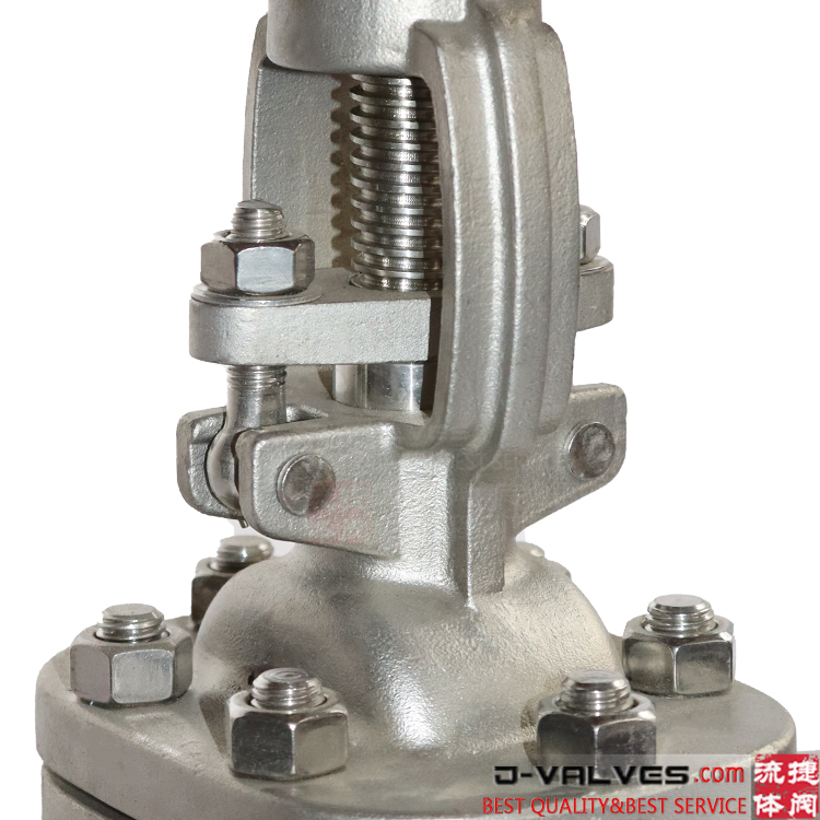 DIN PN16 CF8 Stainless steel Flanged Gate Valve