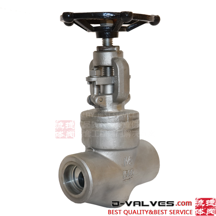 F321 1500LB High Pressure Forged Stainless Steel F-NPT Globe Valve