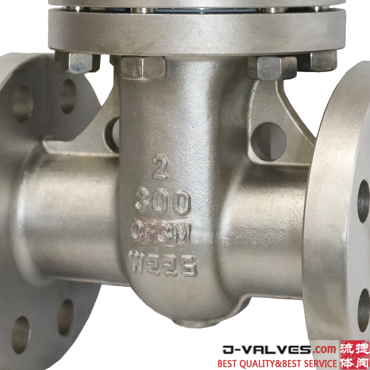Stainless Steel CF3M 300# Flange RF Gate Valve