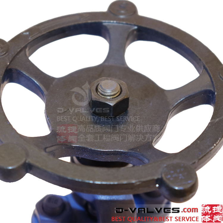 F91 1500LB Anti-corrosion Forged Stainless Steel F-NPT Globe Valve