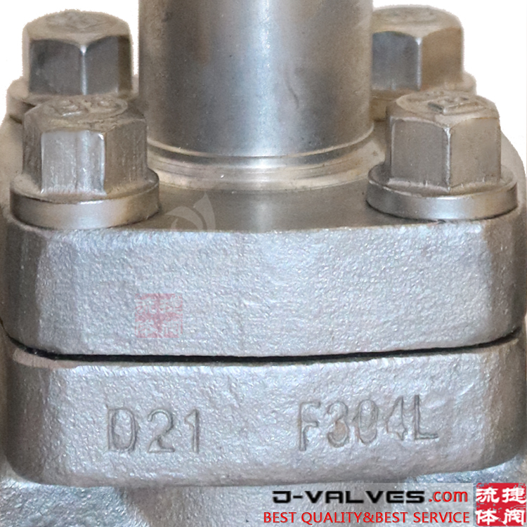 F304L Forged Stainless Steel Low Temperature RF Globe Valve