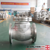 JIS 10K Stainless Steel Flanged Check Valve