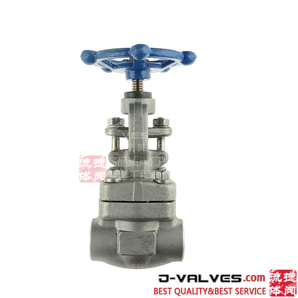 Socket Welding Forged Stainless Steel 800# 1/2inch Globe Valve