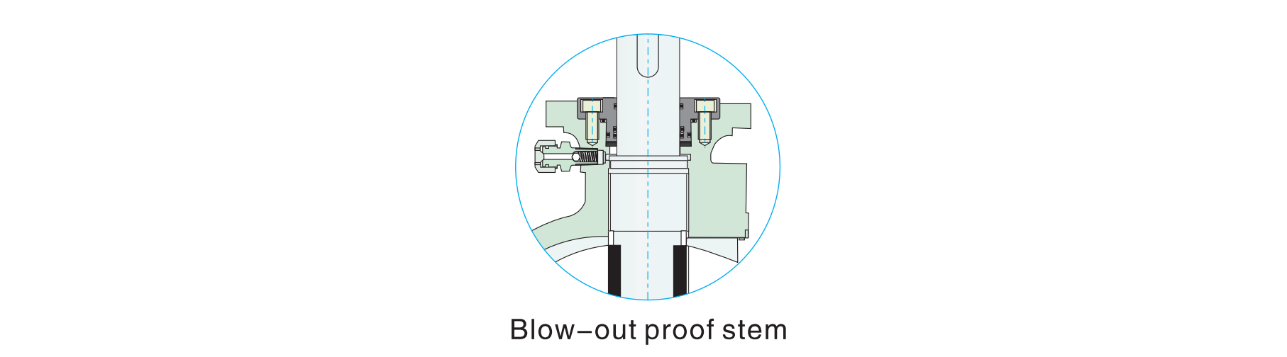 blow out proof stem
